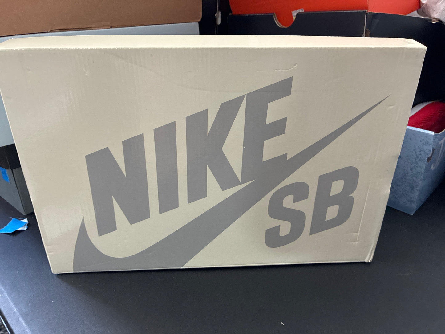 NIKE SB DARWIN LOW