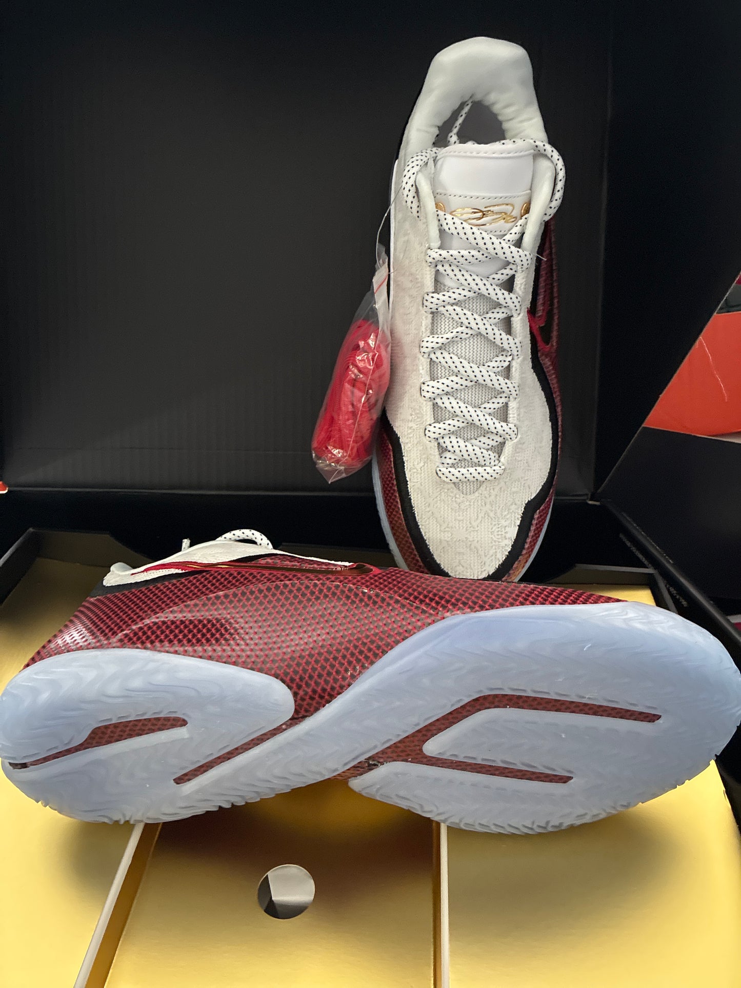 LEBRON XXIII