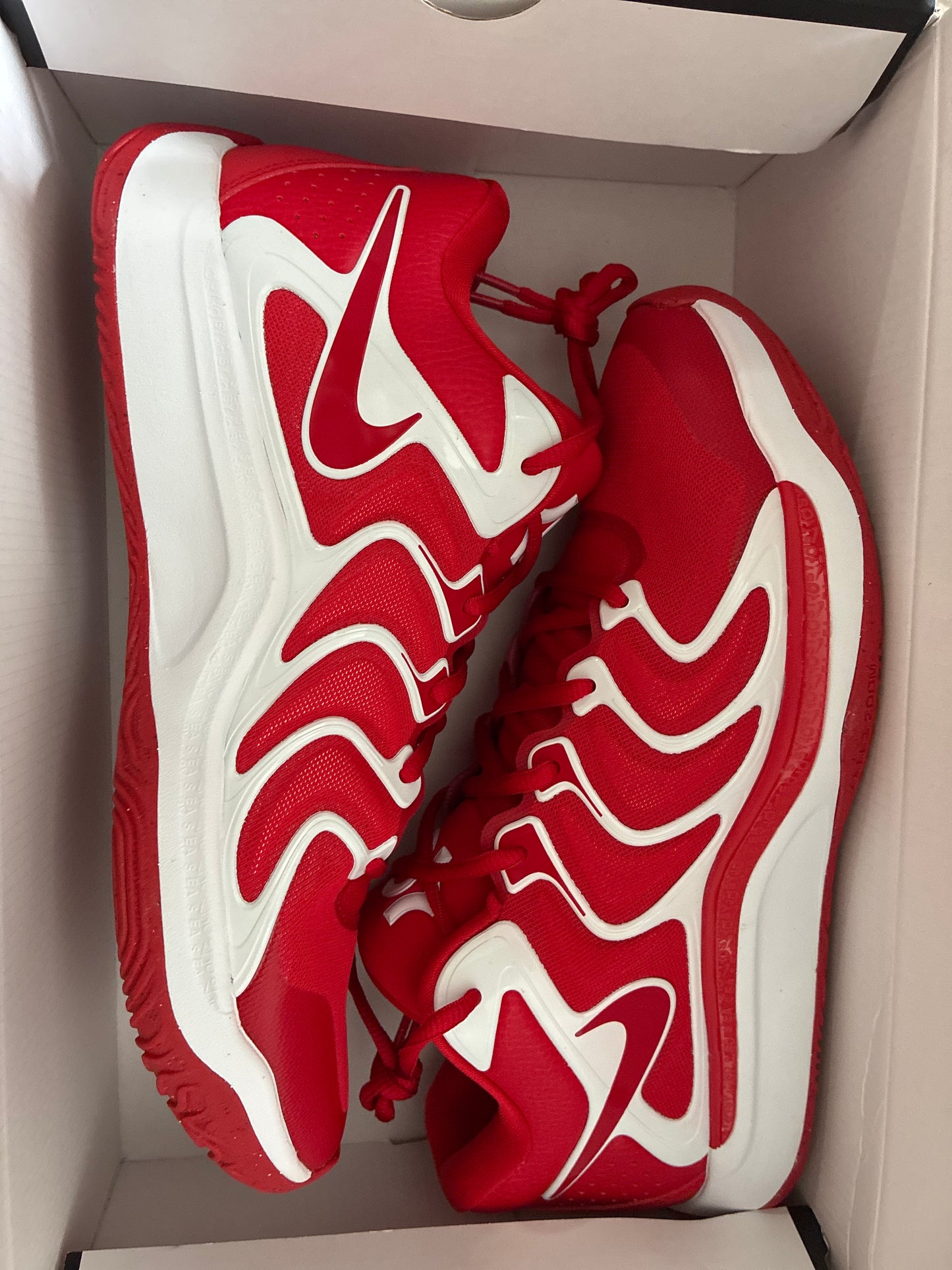 KD17 TB