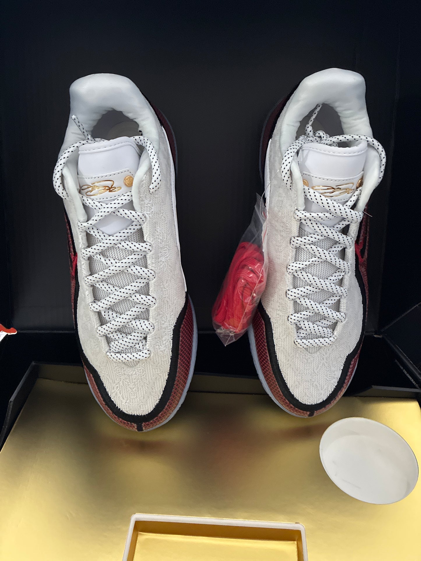 LEBRON XXIII