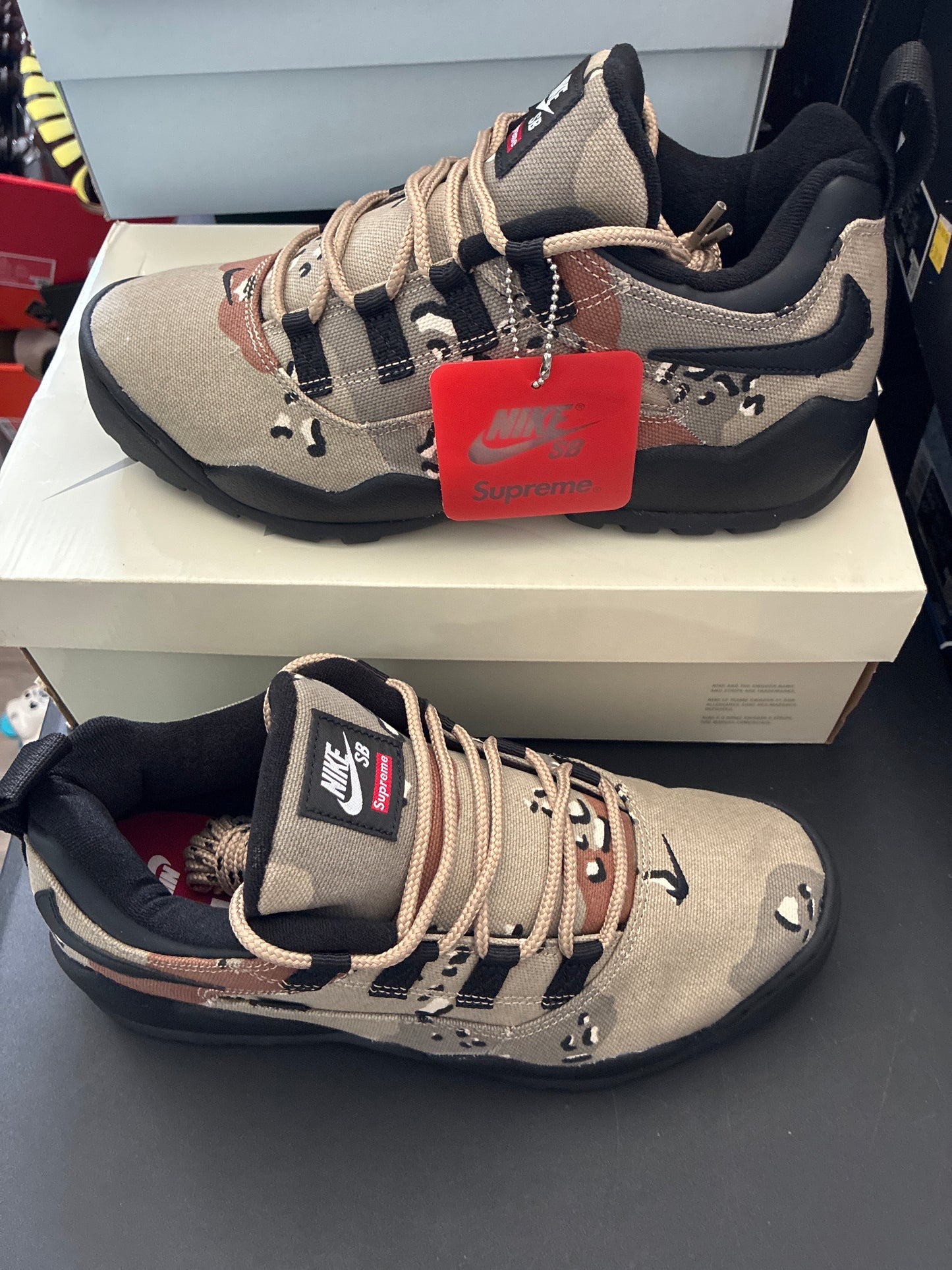 NIKE SB DARWIN LOW