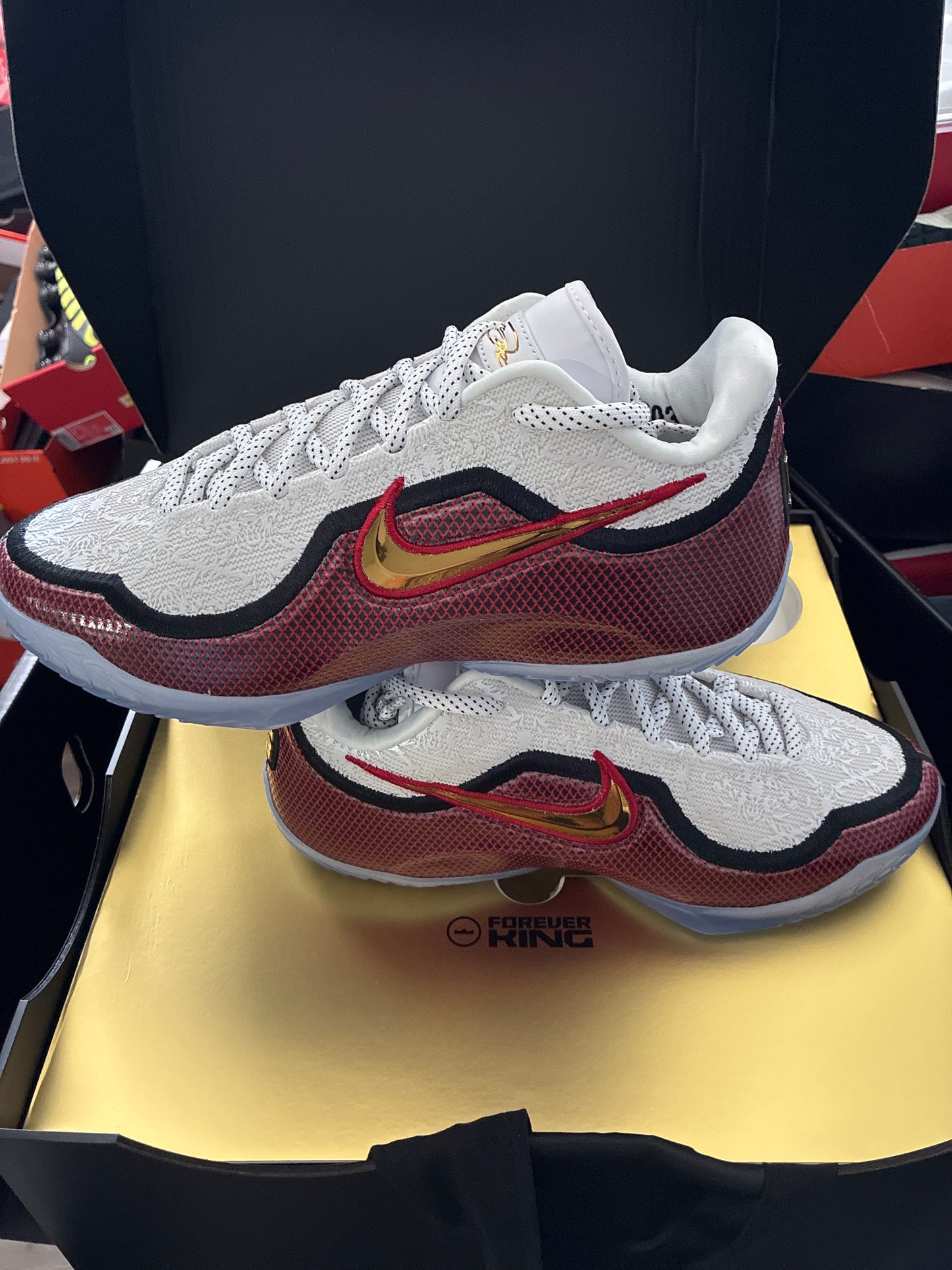 LEBRON XXIII