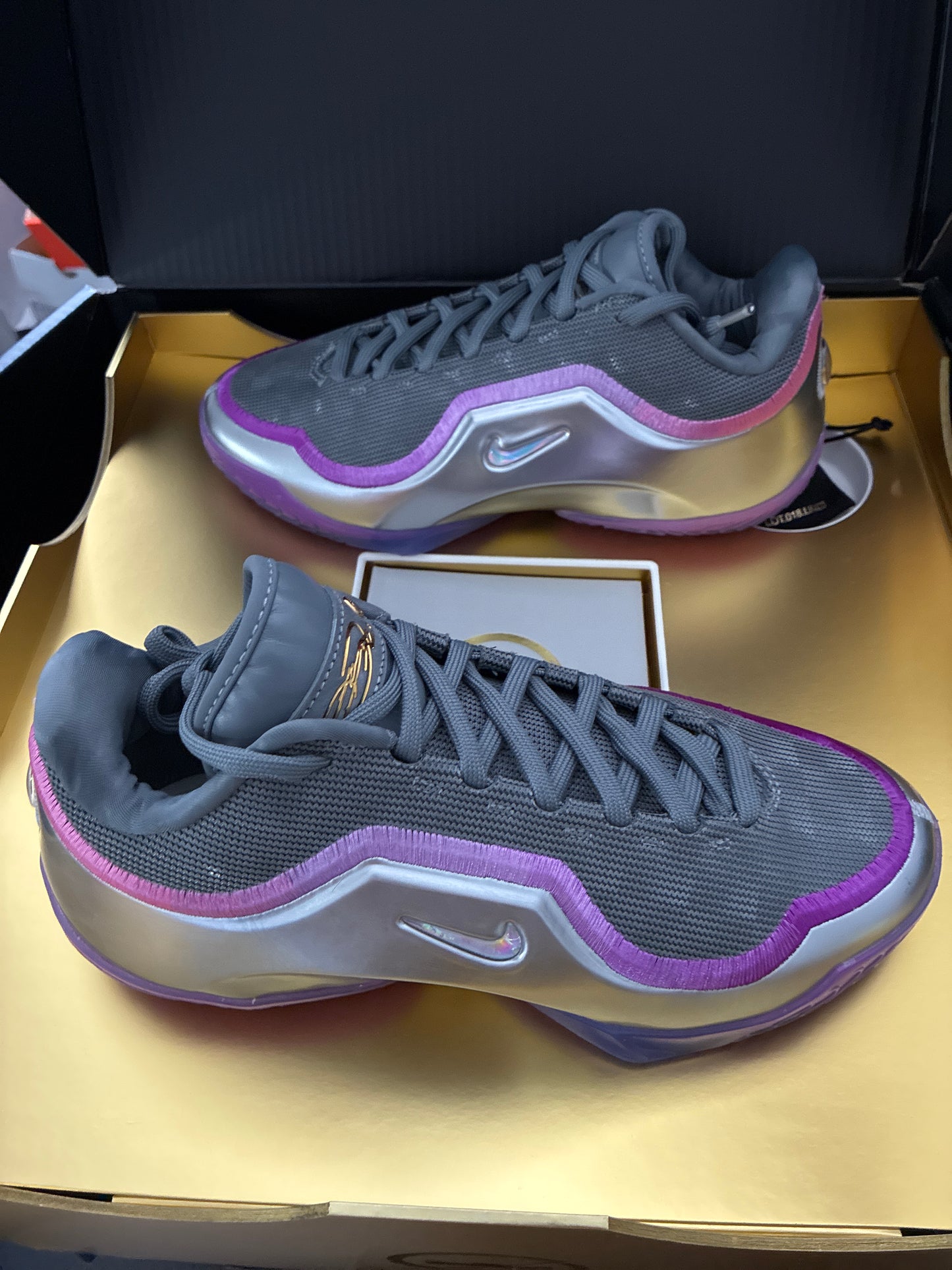 LEBRON XXIII LUX