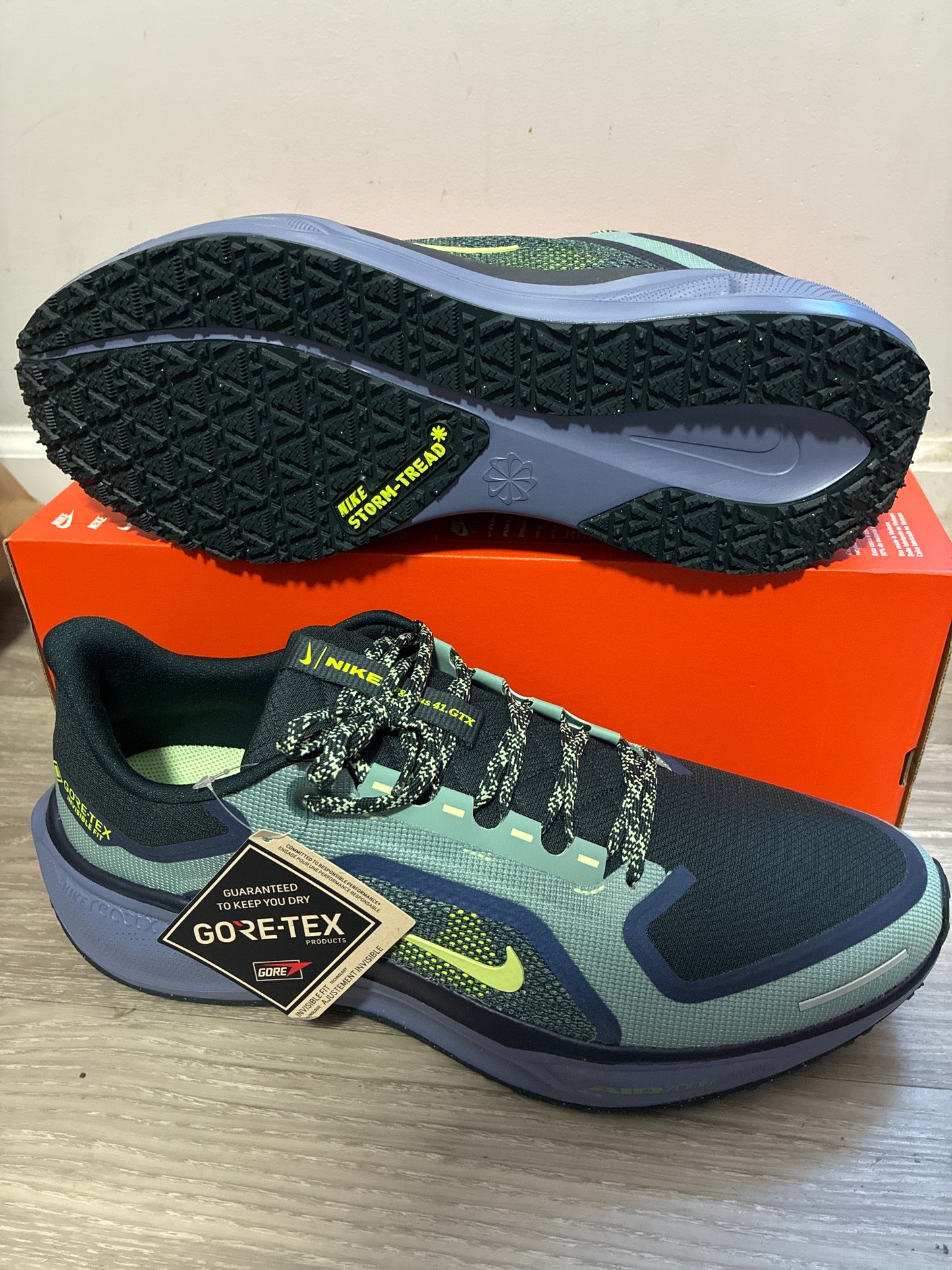 AIR ZM PEGASUS 41 GTX 14M FQ1356006