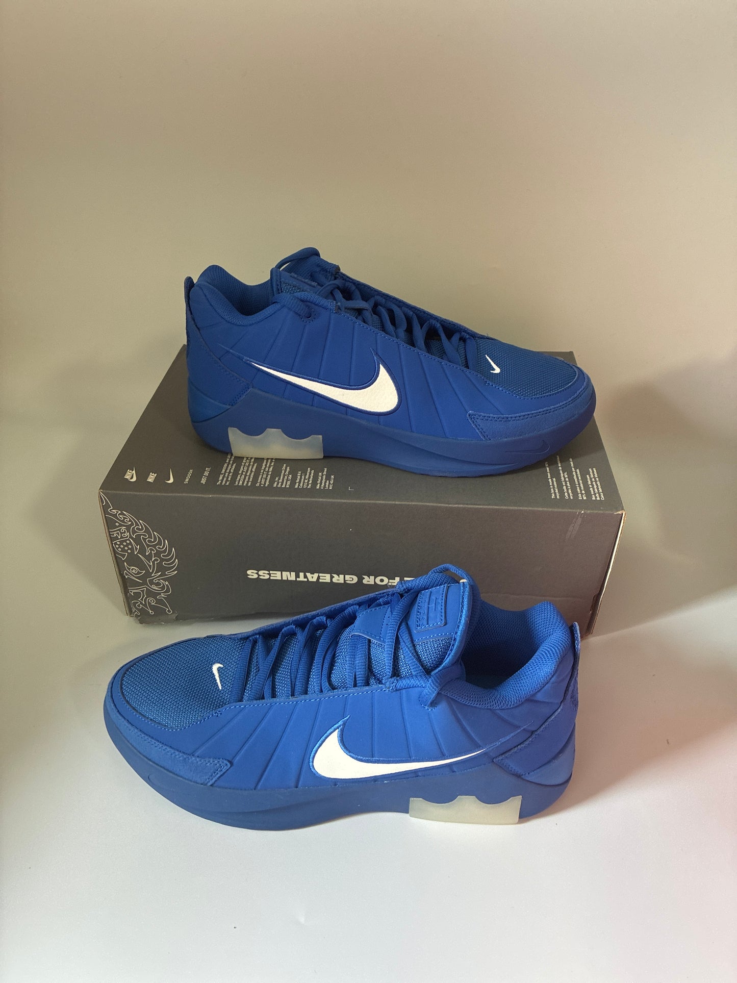 LEBRON WITNESS IX game royal/white-game royal new size:11.5men II7520 401