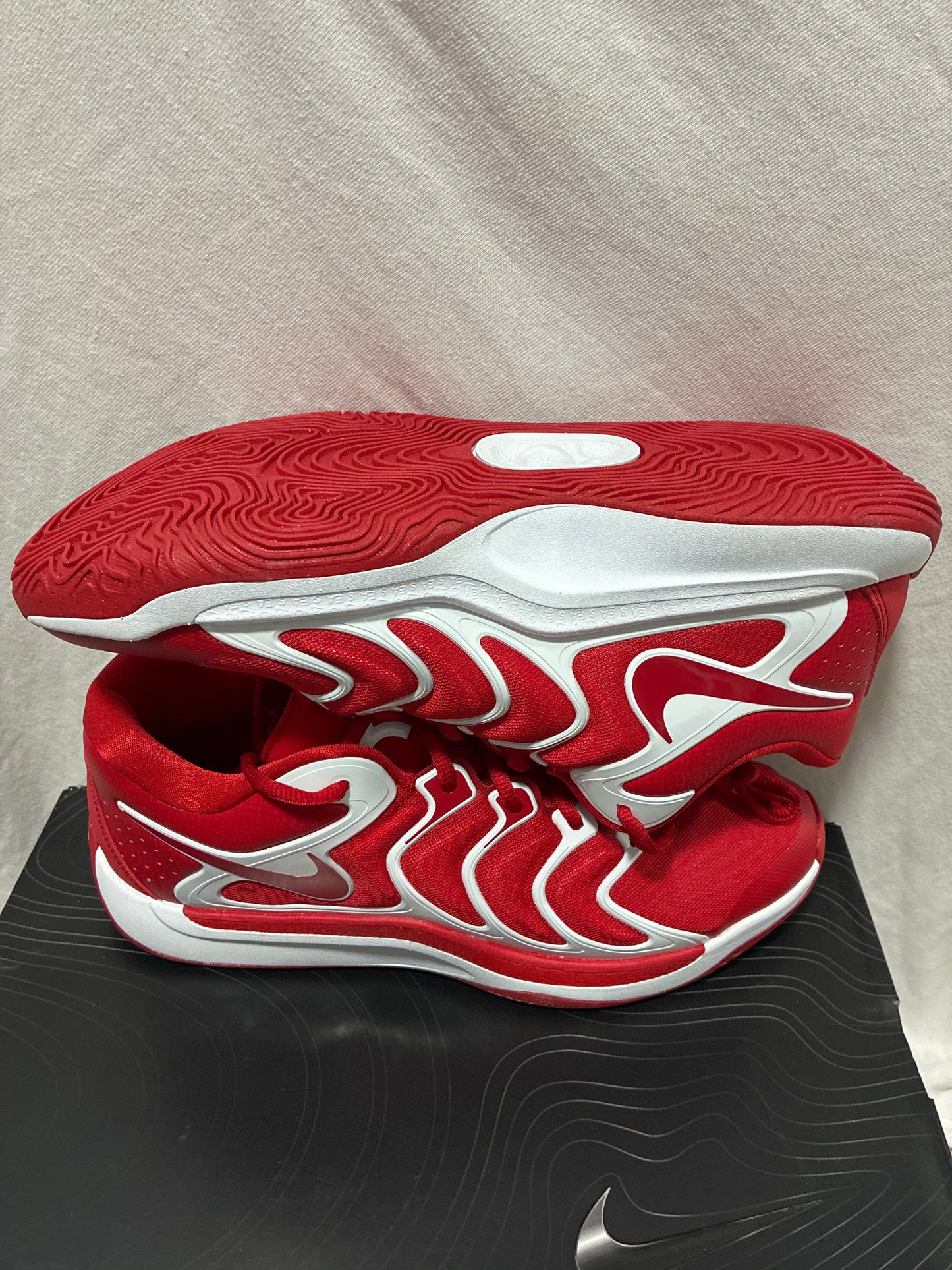 KD17 TB