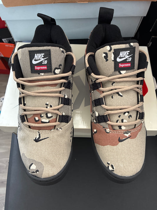 NIKE SB DARWIN LOW