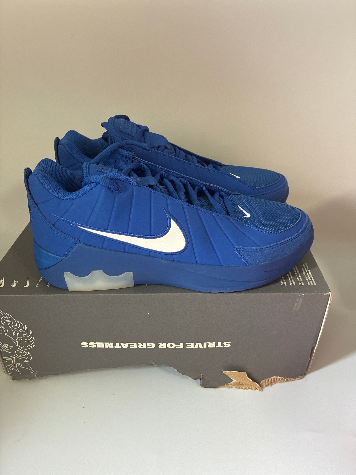 LEBRON WITNESS IX game royal/white-game royal new size:11.5men II7520 401