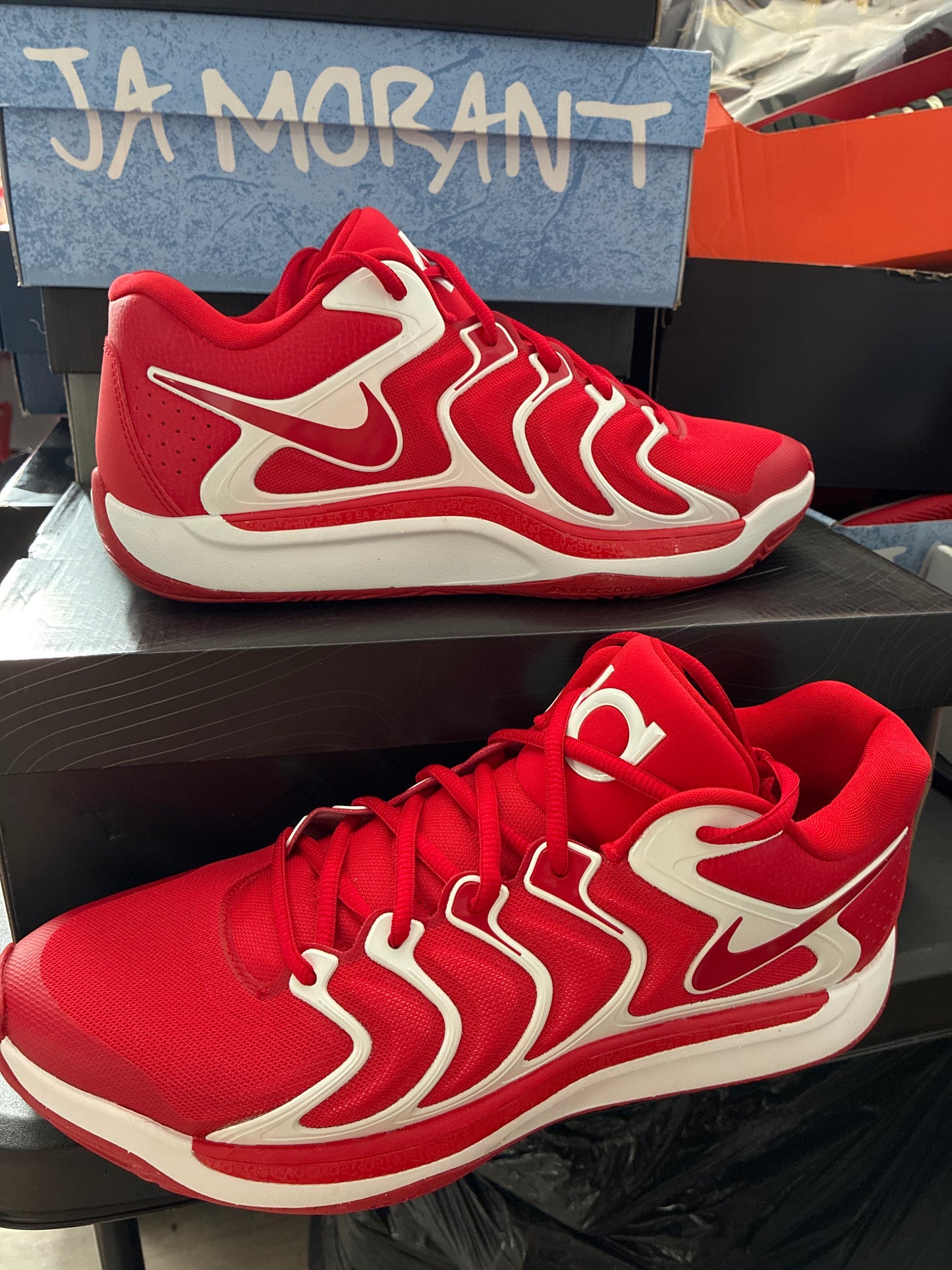 KD17 TB
