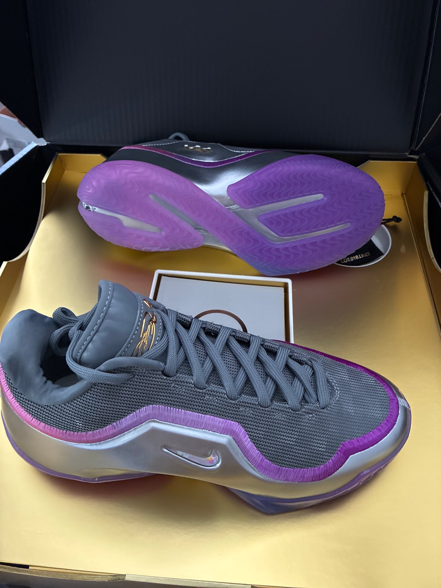 LEBRON XXIII LUX