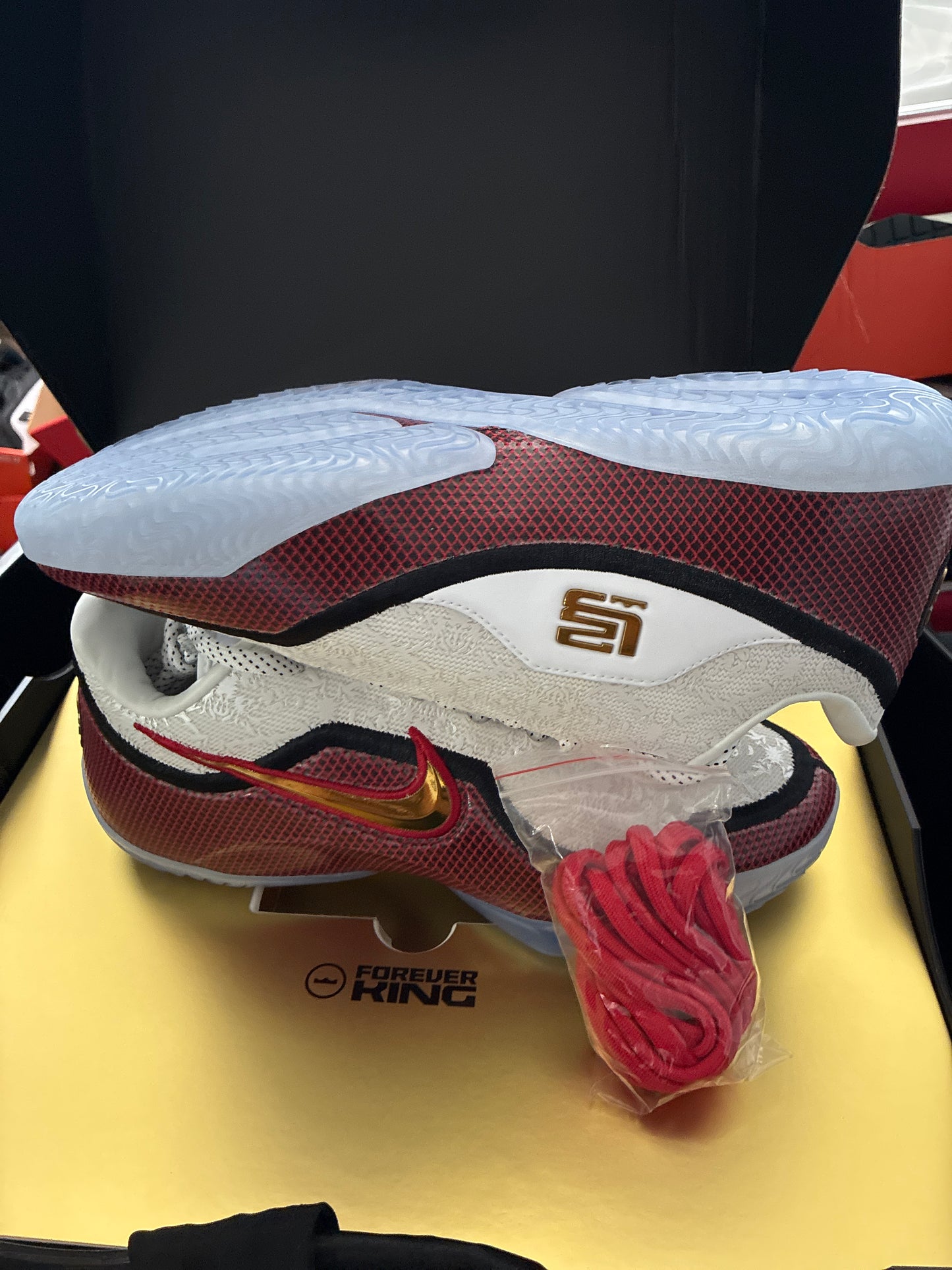LEBRON XXIII