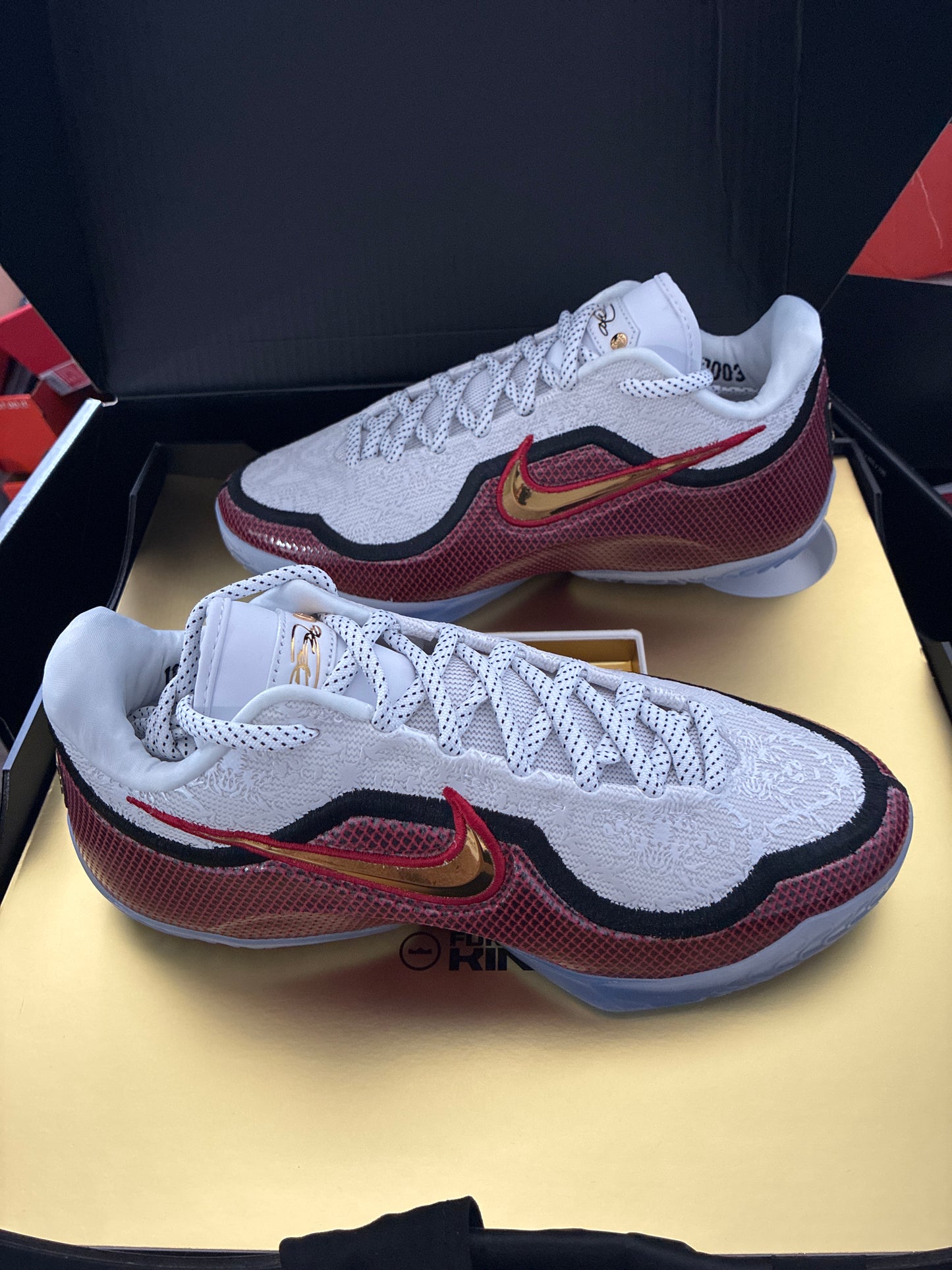 LEBRON XXIII
