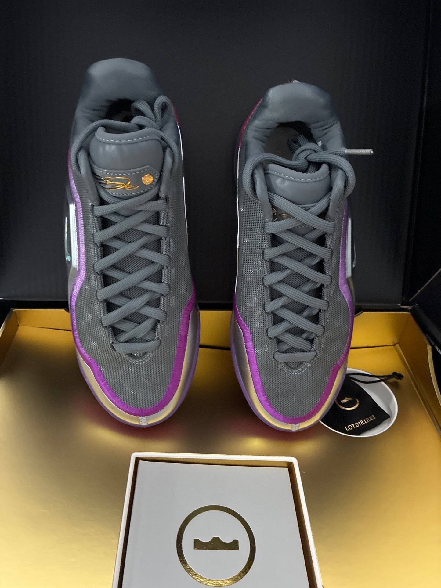 LEBRON XXIII LUX