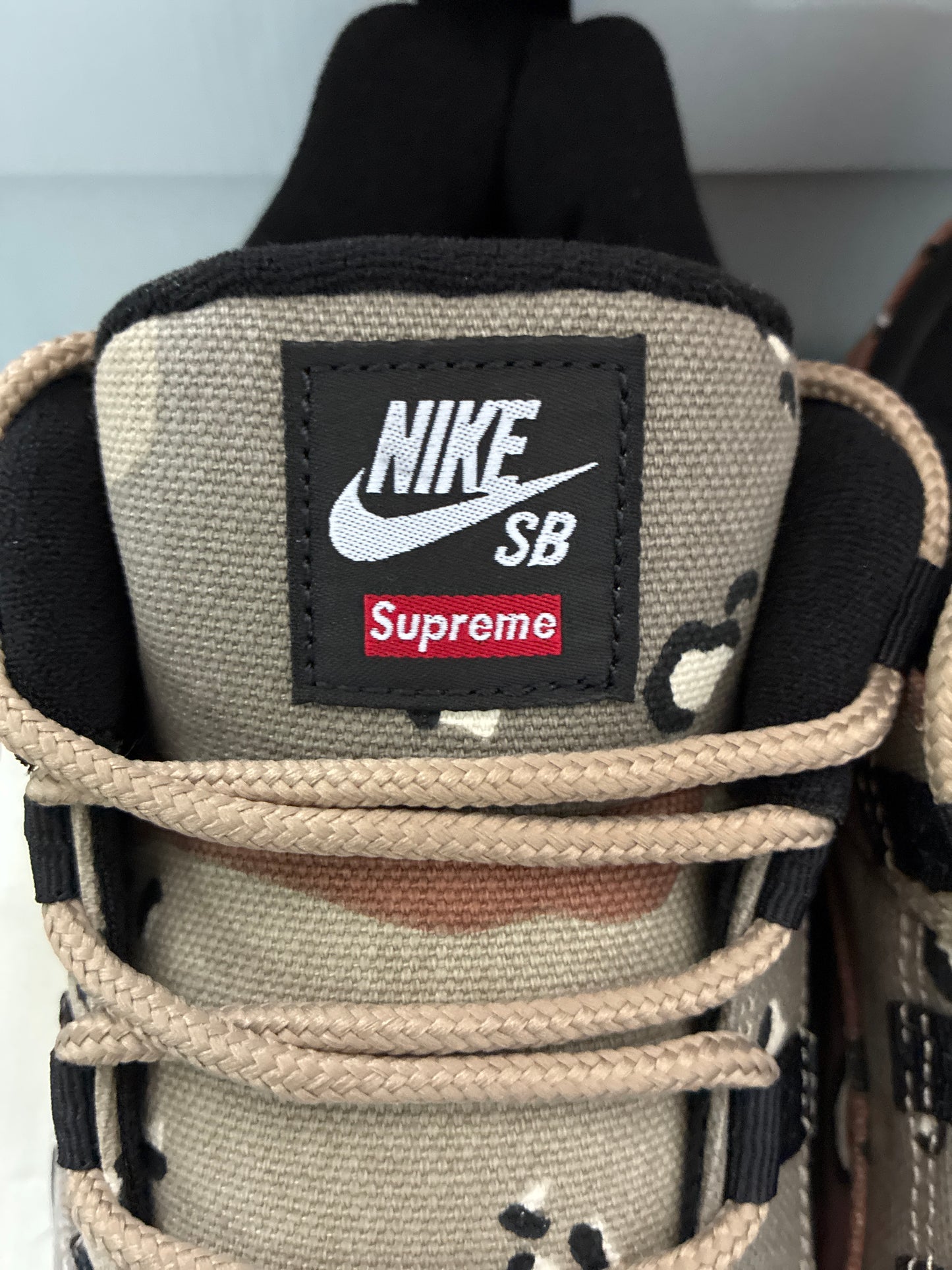 NIKE SB DARWIN LOW