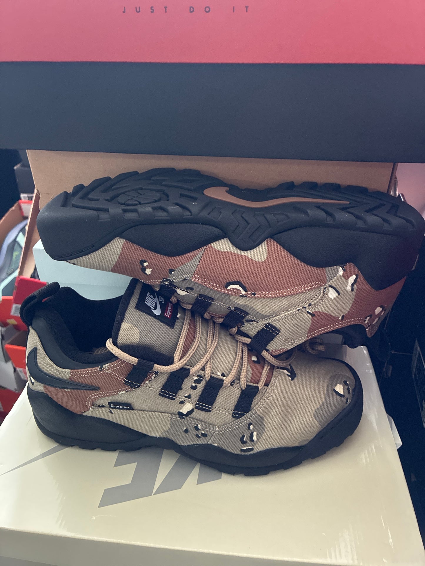 NIKE SB DARWIN LOW