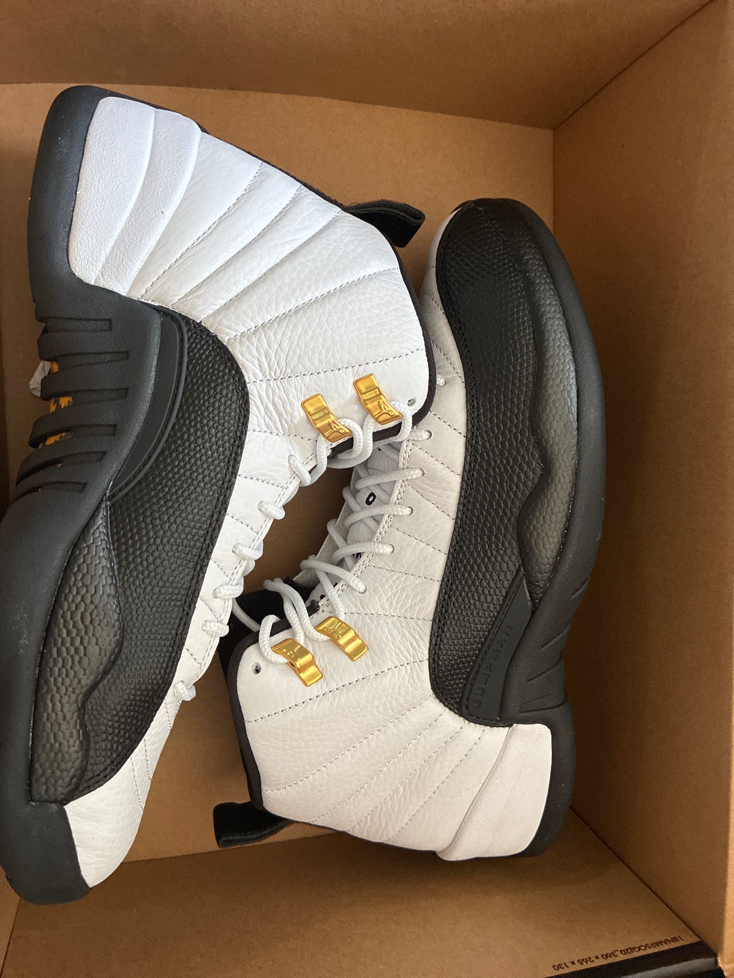 AIR JORDAN 12 RETRO