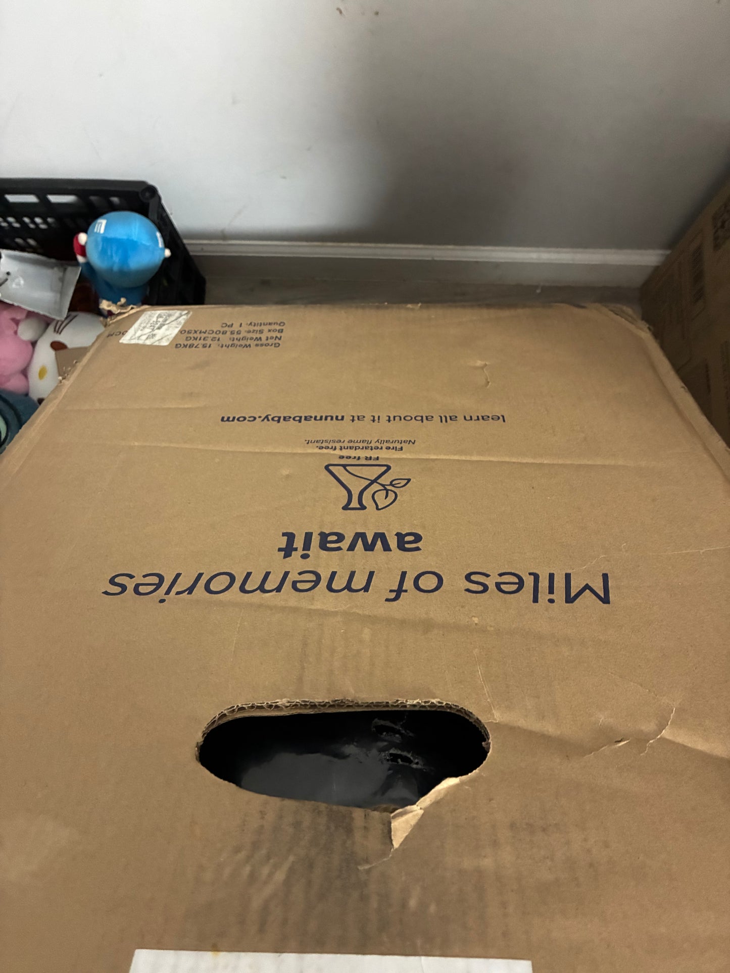 Nuna RAVA next Convertible Car Seat – Caviar | Nuevo y Sellado